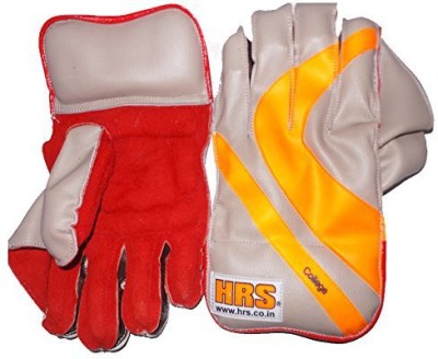 

HRS COLLEGE WICKET KEEPING GLOVES (Youth) Wicket Keeping Gloves (Youth, Multicolor)