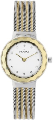Skagen 456SGS1 Watch  - For Women(End of Season Style)   Watches  (Skagen)