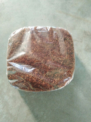 

get some deals COCOPEAT Peat for Seed Germination / Potting Media Plant(Yes Pack of 1 Shrub)