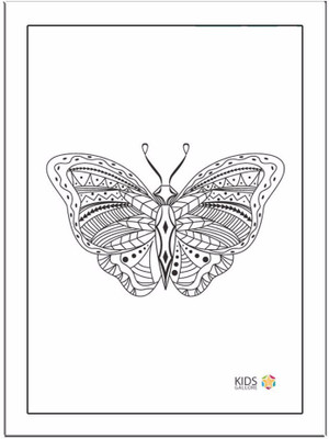 

Butterfly Paper Print(11.69 inch X 8.27 inch, Framed)
