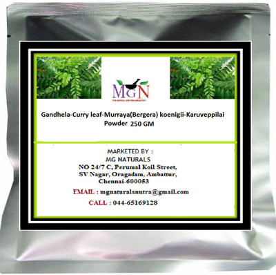 

MG Naturals Gandhela-Curry leaf-Murraya(Bergera) koenigii-Karuveppilai-Powder 250 GM(250 g)