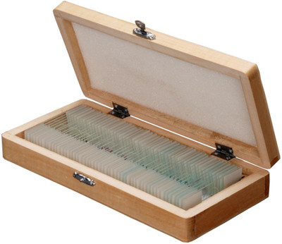 

BEXCO Slide box 50 prepared slides(Multicolor)