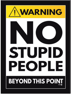 

No Stupid People Paper Print(11.69 inch X 8.27 inch)