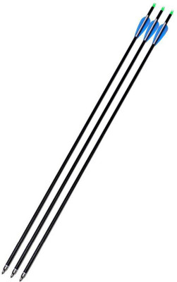 

Victory Carbon Arrow(32)