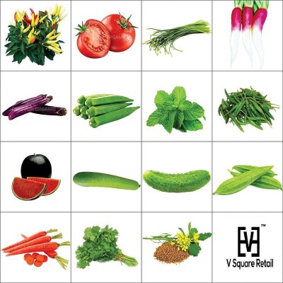 Variety House Combo of Fifteen Summer Kitchen Garden Hybrid Seeds ,15 Variety for your Kitchen Garden Vegetable Seed(500 per packet)