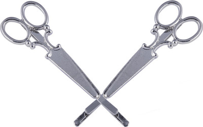 

The Bling Stores Metalic Shape Silver Hair clip Hair Clip(Silver)
