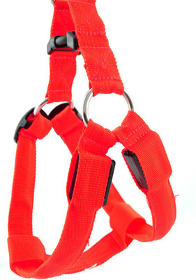 

Futaba Dog Reflective and LED Harness(, Red