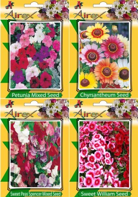 Airex Petunia Mixed, Chrysanthemum, Sweet William and Sweet Peas Spencer Mixed Flower Seeds (Pack Of 20 Seeds * 4 Per Packet) Seed(20 per packet)