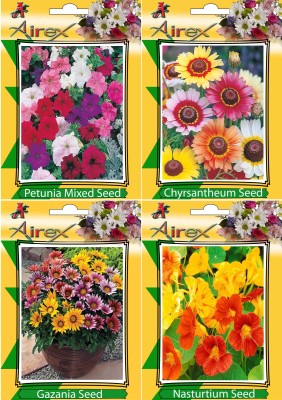 Airex Petunia Mixed, Chrysanthemum, Nasturtium and Gazania Flower Seeds (Pack Of 25 Seeds * 4 Per Packet) Seed(25 per packet)