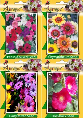 Airex Petunia Mixed, Chrysanthemum, Hollyhock and Daisy Mixed Flower Seeds (Pack Of 20 Seeds * 4 Per Packet) Seed(20 per packet)