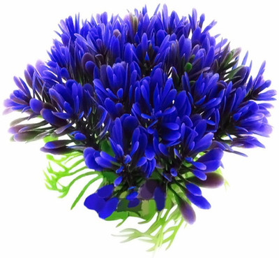

Futaba Aquatic Plant Seed(200 per packet)