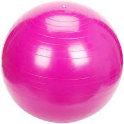 

GTB 65 cm Gym Ball(Multicolor)