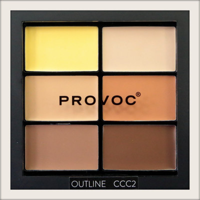 provoc Contour Correct Conceal Palette - Outline 2 Concealer(Outline 2, 9 g)