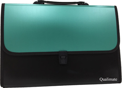 

GOPANI Polypropylene File Folder with 14Pockets, Handle, Index Tab, A4 Size Expanding Folder(Set Of 1, Green)