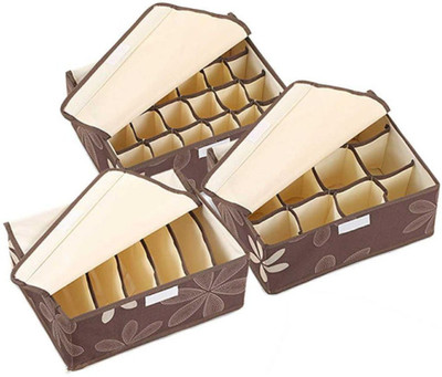 

House of Quirk Lingerie Storage Case(Bra and Panty, Pack of 3)