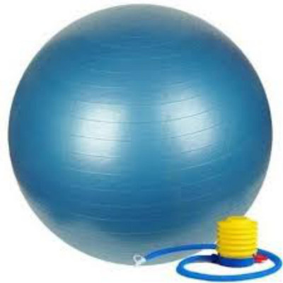 

GTB 65 cm Gym Ball(Blue)