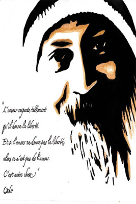 

PW osho quotes Wall Poster 13*19 inches Matte Finish Paper Print(19 inch X 13 inch, Rolled)