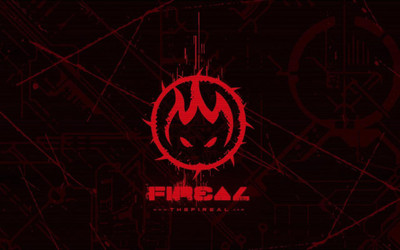 

fireal wall POSTER PRINT ON 13X19 INCHES Paper Print(19 inch X 13 inch, Rolled)