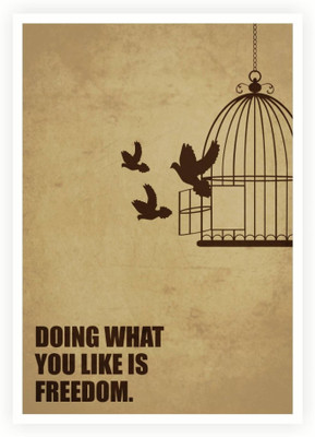 

PW Doing What You Like Is Freedom Business Quotes Wall Poster 13*19 inches Matte Finish Paper Print(19 inch X 13 inch, Rolled)