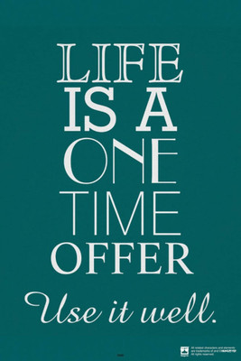 

PW Life Is A One Time Offer Special Wall Poster 13*19 inches Matte Finish Paper Print(19 inch X 13 inch, Rolled)