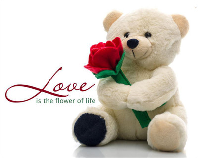 

Cute Teddy With Rose Poster POSTER PRINT ON 13X19 INCHES Paper Print(19 inch X 13 inch, Rolled)