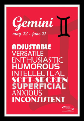 

PW Gemini Wall Poster 13*19 inches Matte Finish Paper Print(19 inch X 13 inch, Rolled)