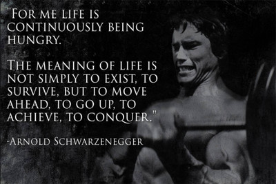 

PW Arnold Quote Wall Poster 13*19 inches Matte Finish Paper Print(19 inch X 13 inch, Rolled)