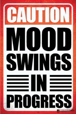 

PW Mood Swings Special Wall Poster 13*19 inches Matte Finish Paper Print(19 inch X 13 inch, Rolled)