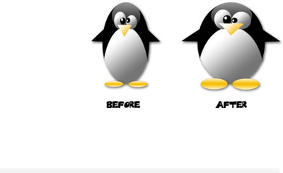 

PW Penguin Wall Poster 13*19 inches Matte Finish Paper Print(19 inch X 13 inch, Rolled)