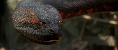 

Movie Anaconda Poster POSTER PRINT ON 13X19 INCHES 3D Poster(13 inch X 19 inch, Rolled)
