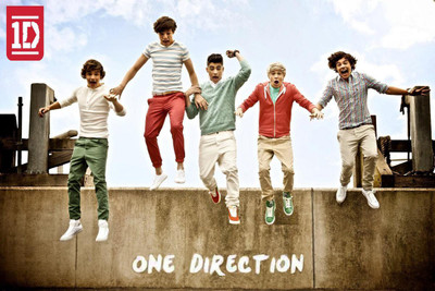 

ONE DIRECTION POSTER PRINT ON 13X19 INCHES 3D Poster(13 inch X 19 inch, Rolled)