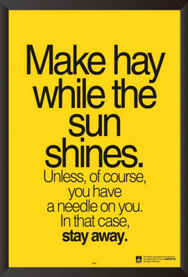 

PW Make Hay While The Sun Shines Quote Wall Poster 13*19 inches Matte Finish Paper Print(19 inch X 13 inch, Rolled)