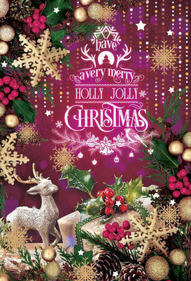 

HAVE A VERY MERRY HOLLY JOLLY CHRISTMAS POSTER POSTER PRINT ON 13X19 INCHES Paper Print(19 inch X 13 inch, Rolled)