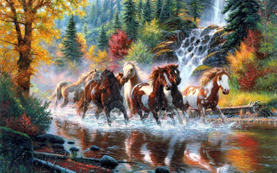 

horse fall waterfall POSTER PRINT ON 13X19 INCHES Paper Print(19 inch X 13 inch, Rolled)