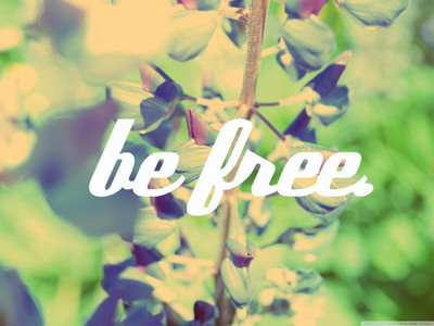 

FREEDOM FOREVER POSTER PRINT ON 13X19 INCHES Paper Print(19 inch X 13 inch, Rolled)
