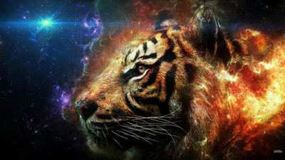 

flaming tiger head wall POSTER PRINT ON 13X19 INCHES Paper Print(19 inch X 13 inch, Rolled)