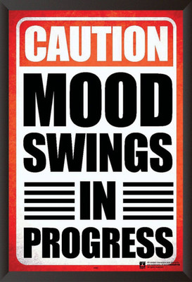 

PW Mood Swings Special Wall Poster 13*19 inches Matte Finish Paper Print(19 inch X 13 inch, Rolled)