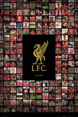 

Liverpool Wall Poster POSTER PRINT ON 13X19 INCHES 3D Poster(19 inch X 13 inch, Rolled)