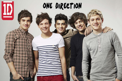 

One Direction Poster POSTER PRINT ON 13X19 INCHES 3D Poster(13 inch X 19 inch, Rolled)