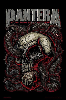 

Wall Poster Pantera POSTER PRINT ON 13X19 INCHES Paper Print(19 inch X 13 inch, Rolled)