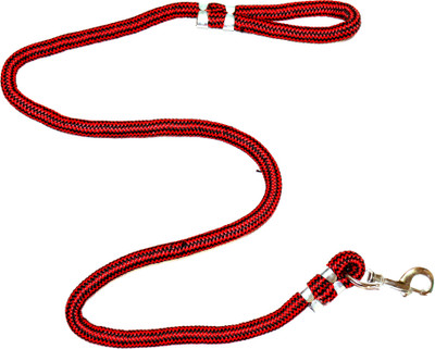 

GREAT PET SHOP DOG CHAIN & LEASH Dog Collar & Chain(, Multicolor