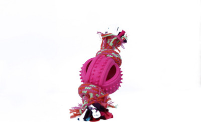 

GINIPET Nylon, Rubber Chew Toy, Fetch Toy, Tug Toy, Training Aid, Rubber Toy For Dog