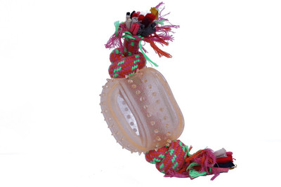 

GINIPET Nylon, Rubber Chew Toy, Fetch Toy, Tug Toy, Training Aid, Rubber Toy For Dog