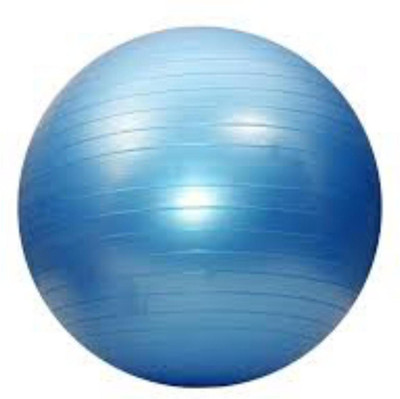 

GTB 65 cm Gym Ball(Blue)