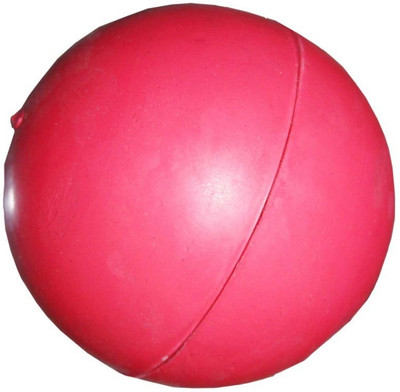

Love N Care Multi-Color Rubber Hard Dog Ball (Large 8.5) Color May Vary Rubber Rubber Toy For Dog