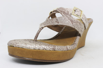 

Vstario Women Brown Casual