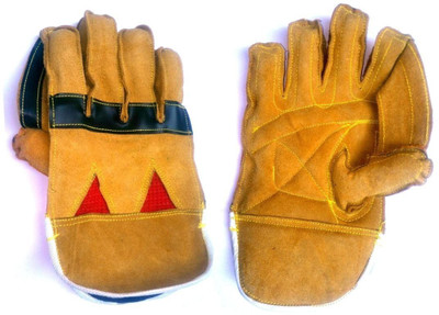 

Woody Wicket Keepping Gloves Wicket Keeping Gloves (XL, Multicolor)