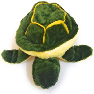 

The Game Begins Super Soft and Cute Tortoise/Turtle Medium Size,Height 5 cm, Length 35 cm, Green Color - 5 cm(Green)