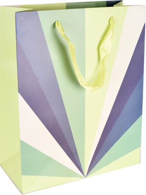 

Enwraps Printed Party Bag(Green, Pack of 12)