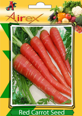 Airex Carrot Seed(25 per packet)